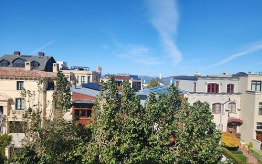 1-Bedroom Apartment  for Rent in San Francisco, CA 94115 – $6000/mo | 1 Baths | Updated 2025
