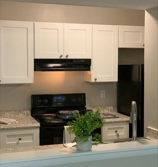 1-Bedroom Apartment  for Rent in Charlotte, NC 28205 – $999/mo | 1 Baths | Updated 2025