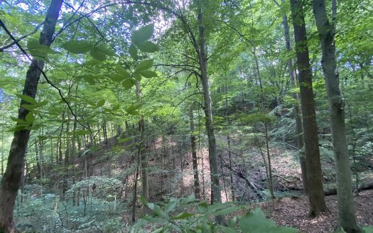 Lot for Sale in Joelton, TN 37080 – 1 Bedroom, 1 Bath – $175000