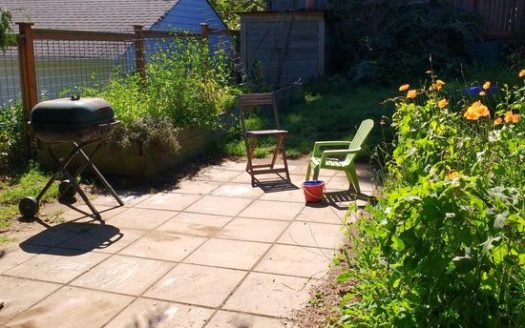 1-Bedroom Apartment  for Rent in Seattle, WA 98103 – $1650/mo | 1 Baths | Updated 2025