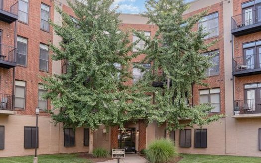 1-Bedroom Apartment  for Rent in Nashville, TN 37201 – $1645/mo | 1 Baths | Updated 2025