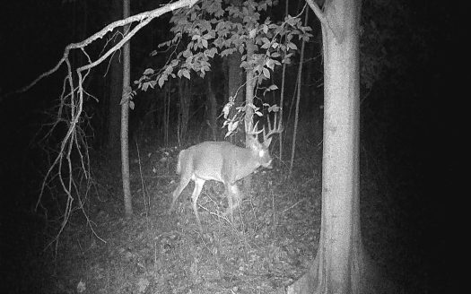 Lot for Sale in Ashland City, TN 37015 – 1 Bedroom, 1 Bath – $200000