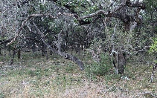 Lot for Sale in San Antonio, TX 78230 – 1 Bedroom, 1 Bath – $350000