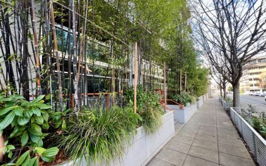 1-Bedroom Apartment  for Rent in Seattle, WA 98109 – $2200/mo | 1 Baths | Updated 2025