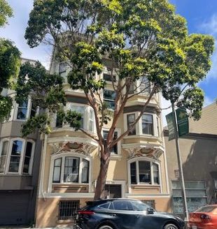 1-Bedroom Apartment  for Rent in San Francisco, CA 94102 – $2995/mo | 1 Baths | Updated 2025