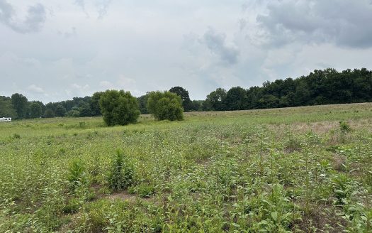 Lot for Sale in Joelton, TN 37080 – 1 Bedroom, 1 Bath – $329900