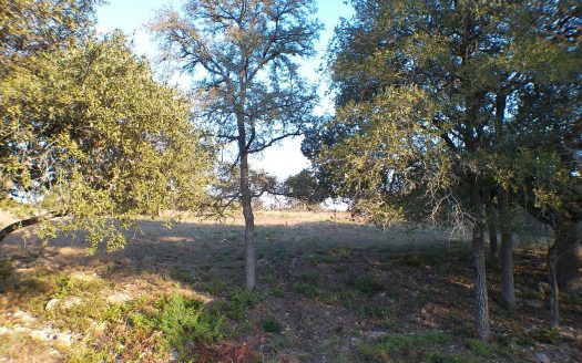 Lot for Sale in San Antonio, TX 78245 – 1 Bedroom, 1 Bath – $210000