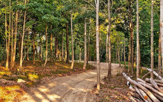 Lot for Sale in Whites Creek, TN 37189 – 1 Bedroom, 1 Bath – $330000