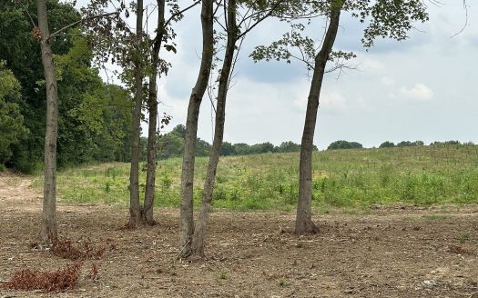 Lot for Sale in Joelton, TN 37080 – 1 Bedroom, 1 Bath – $339900