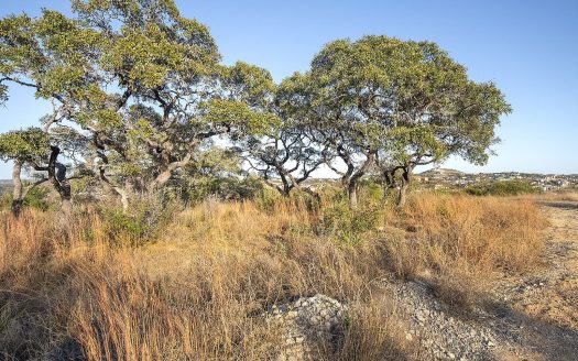 Lot for Sale in San Antonio, TX 78255 – 1 Bedroom, 1 Bath – $180000