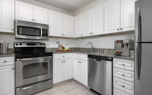 1-Bedroom Apartment  for Rent in Chicago, IL 60611 – $2375/mo | 1 Baths | Updated 2025