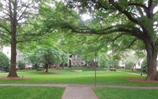 0-Bedroom Apartment  for Rent in Charlotte, NC 28203 – $1399/mo | 1 Baths | Updated 2025
