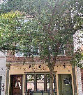 2-Bedroom Apartment  for Rent in Chicago, IL 60625 – $2250/mo | 1 Baths | Updated 2025