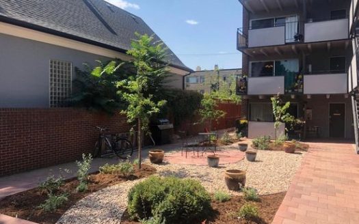 1-Bedroom Apartment  for Rent in Denver, CO 80203 – $1225/mo | 1 Baths | Updated 2025