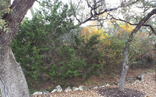 Lot for Sale in San Antonio, TX 78261 – 1 Bedroom, 1 Bath – $185000