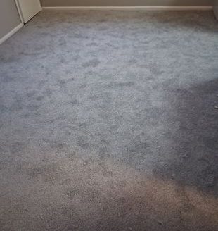 2-Bedroom Apartment  for Rent in Philadelphia, PA 19111 – $1600/mo | 1 Baths | Updated 2025