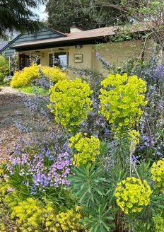 2-Bedroom Single Family Home for Rent in Seattle, WA 98125 – $2700/mo | 1 Baths | Updated 2025