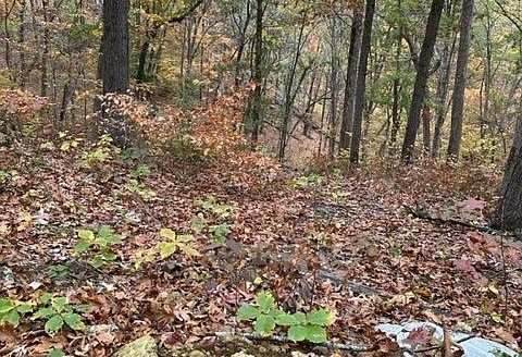 Lot for Sale in Nashville, TN 37221 – 1 Bedroom, 1 Bath – $650000