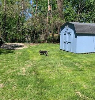 5-Bedroom Single Family Home for Rent in Indianapolis, IN 46205 – $1995/mo | 3 Baths | Updated 2025