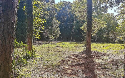 Lot for Sale in Charlotte, NC 28205 – 1 Bedroom, 1 Bath – $699000