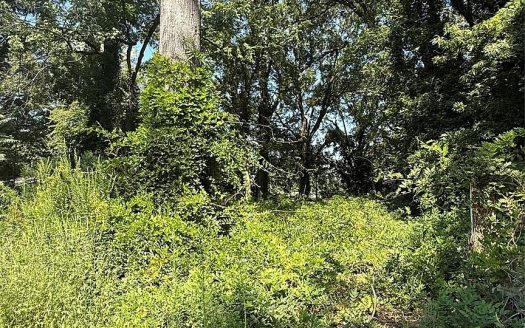 Lot for Sale in Charlotte, NC 28211 – 1 Bedroom, 1 Bath – $300000