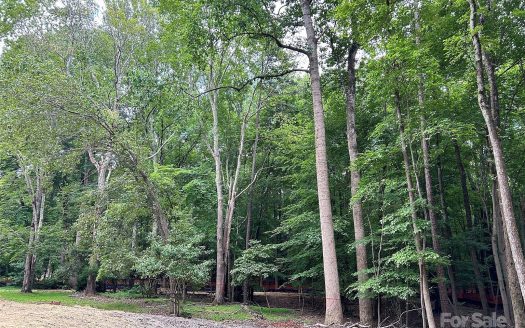 Lot for Sale in Charlotte, NC 28270 – 1 Bedroom, 1 Bath – $650000