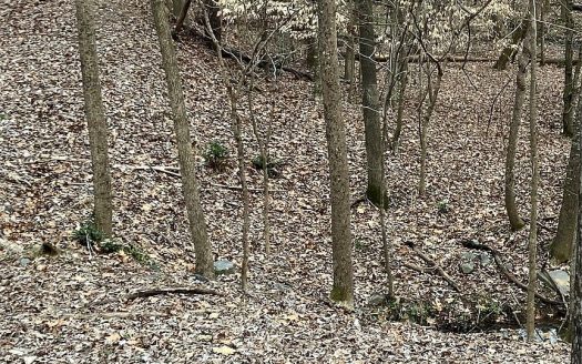 Lot for Sale in Charlotte, NC 28270 – 1 Bedroom, 1 Bath – $380000