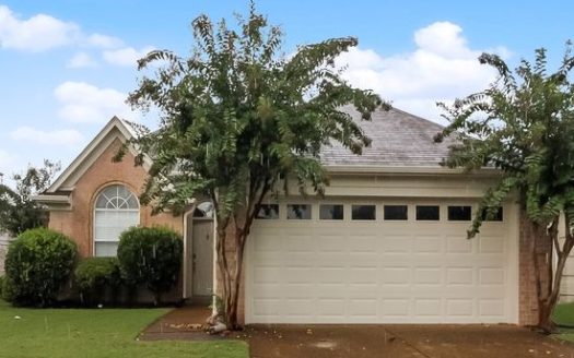 3-Bedroom Single-family for Rent at 9996 Houston Birch Dr, Cordova TN 38016