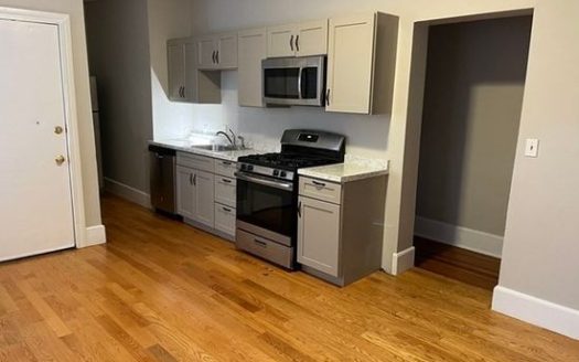 Apartment for Rent in Dorchester, MA, 73 Charles St UNIT 1