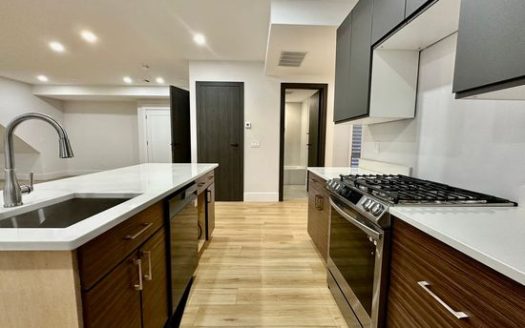 Hardwood Floors Apartment for Rent in Roxbury, 5-Bedroom